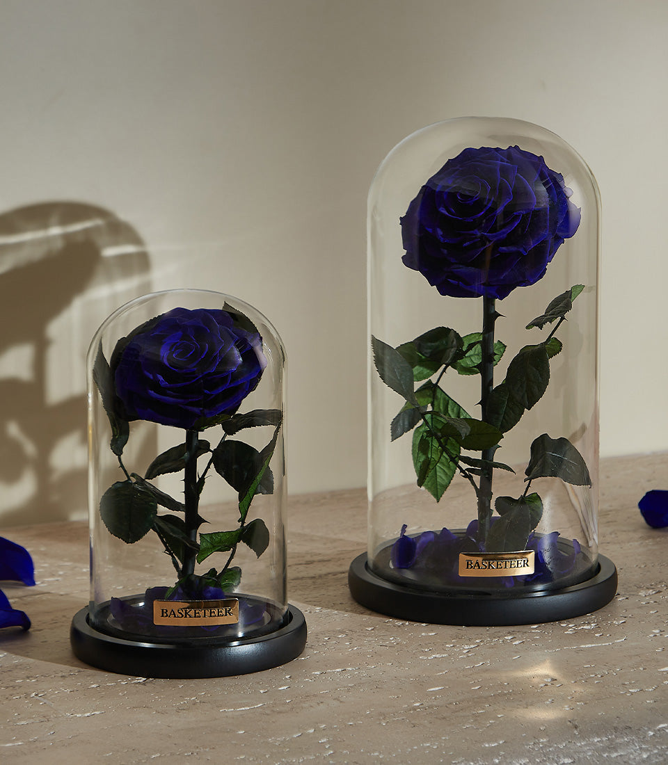Royal blue preserved roses in glass domes with black bases, luxury Valentine's gift for him