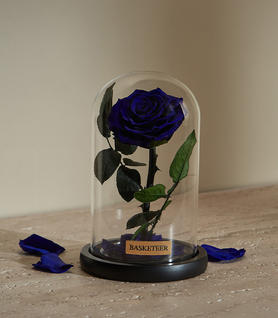 Royal blue preserved rose in glass dome, luxury Valentine's gift with lasting blooms
