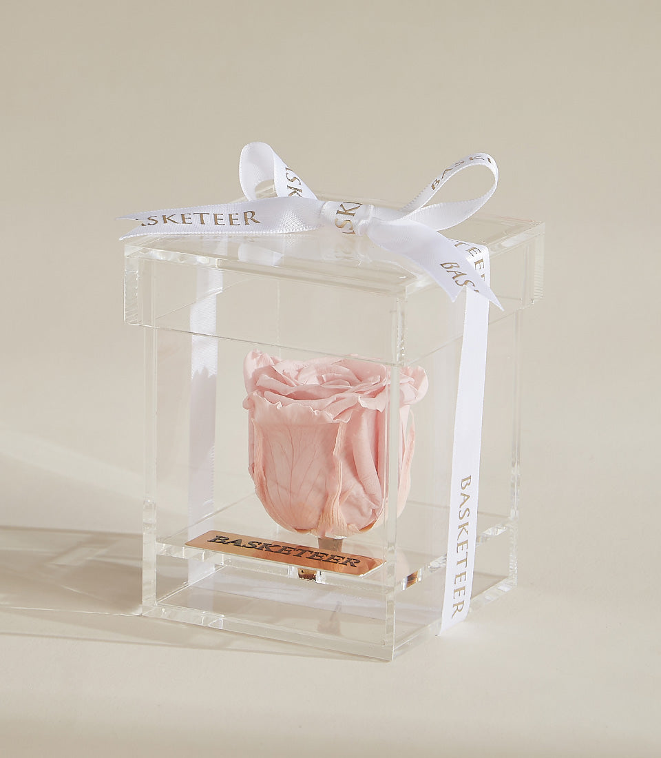 Light pink preserved rose in clear acrylic box with copper plaque and white satin ribbon, luxury gift presentation