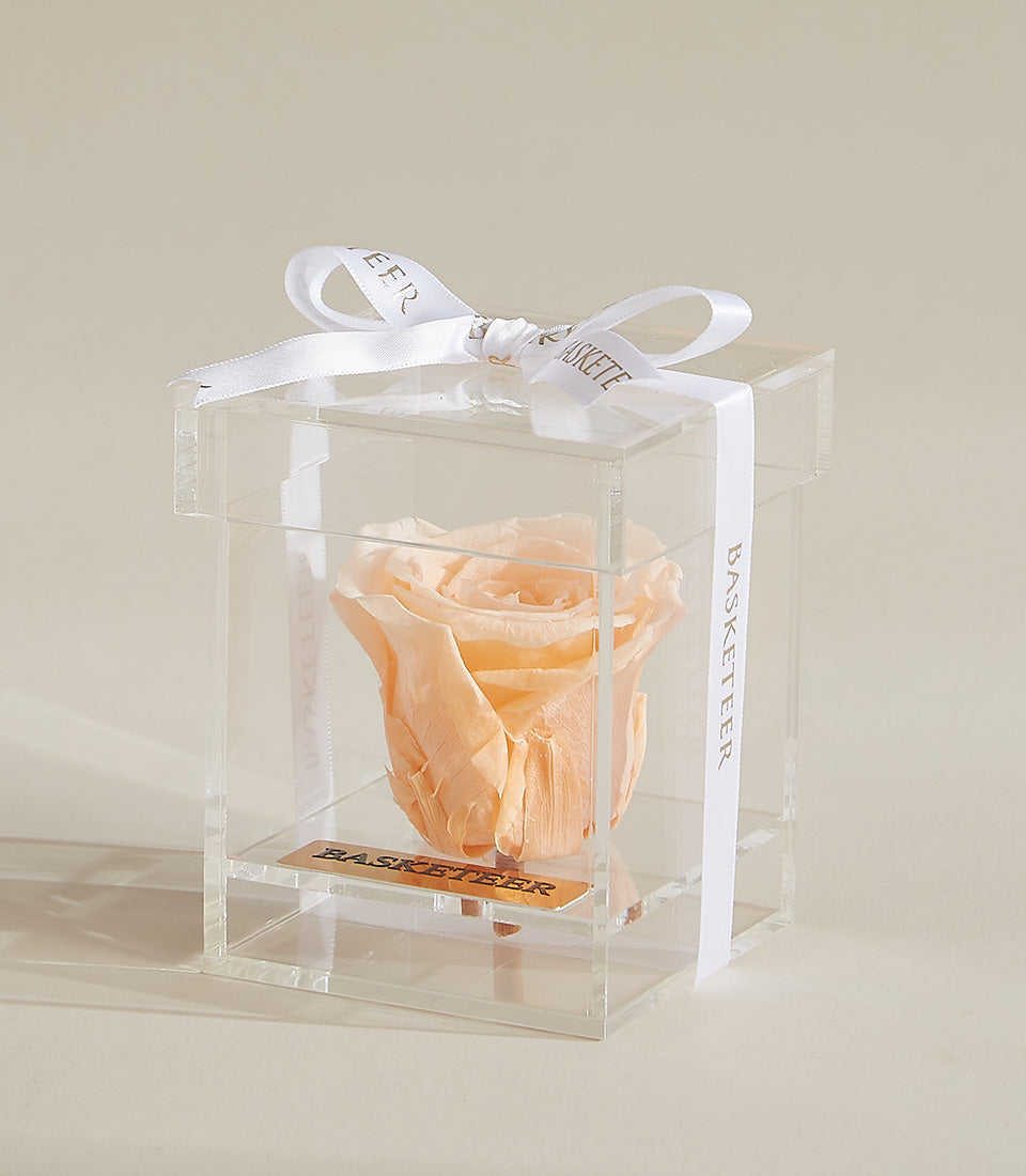Light peach preserved rose in luxury acrylic box with satin ribbon