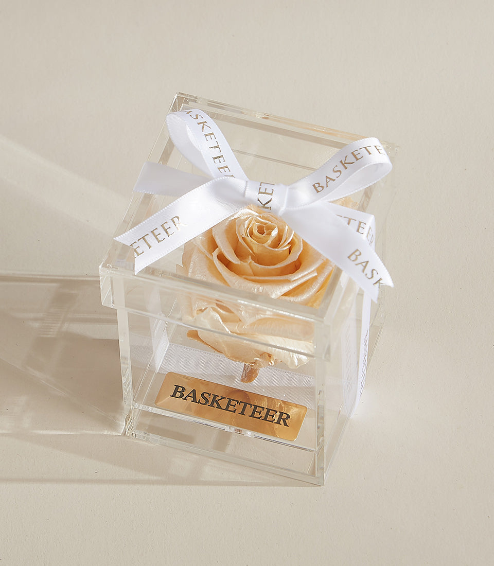 Preserved peach rose in clear acrylic box with gold satin ribbon, luxury Valentine's gift