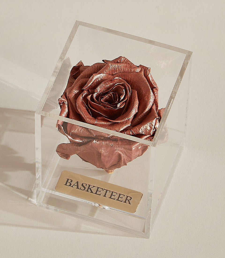 Metallic bronze preserved rose in clear acrylic cube with gold plaque, luxury Valentine's gift