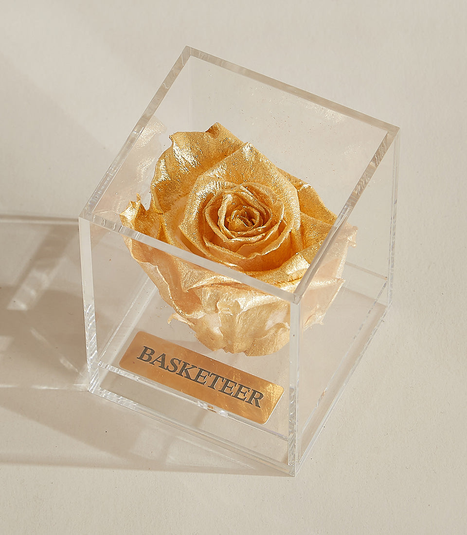 Preserved golden rose in square acrylic box, Valentine's luxury gift with metallic finish
