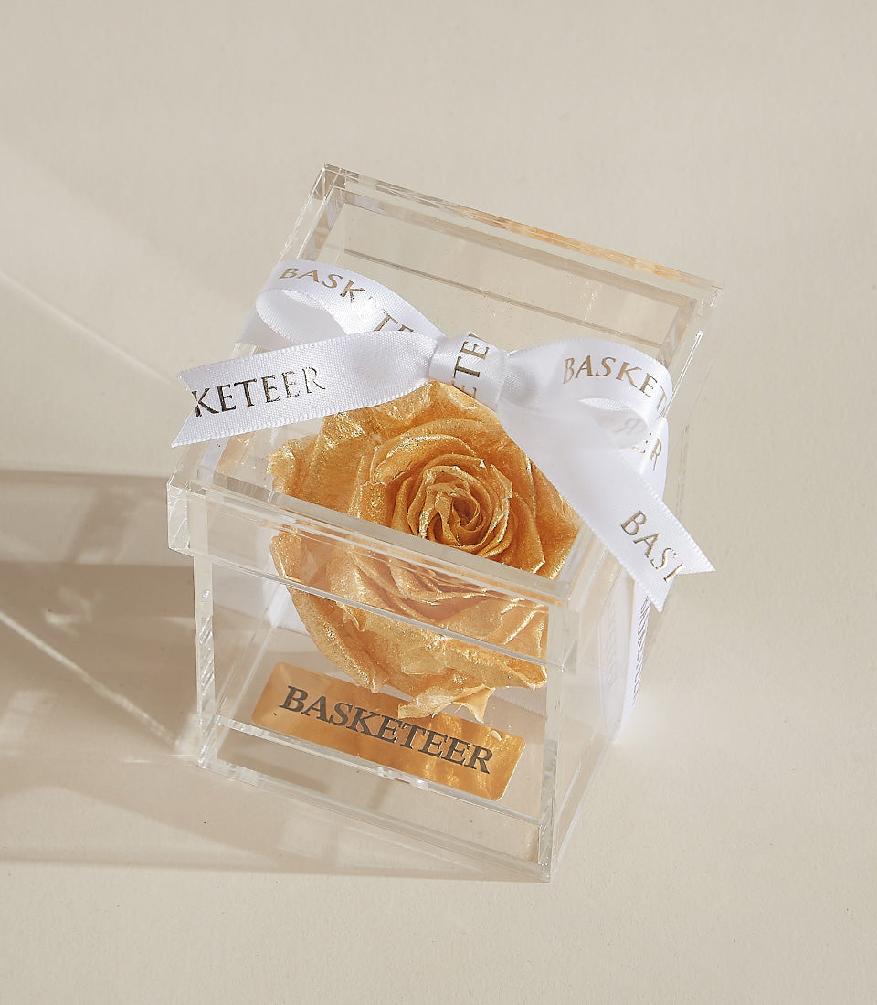 Preserved golden rose in clear acrylic box with white satin ribbon, luxury Valentine's gift