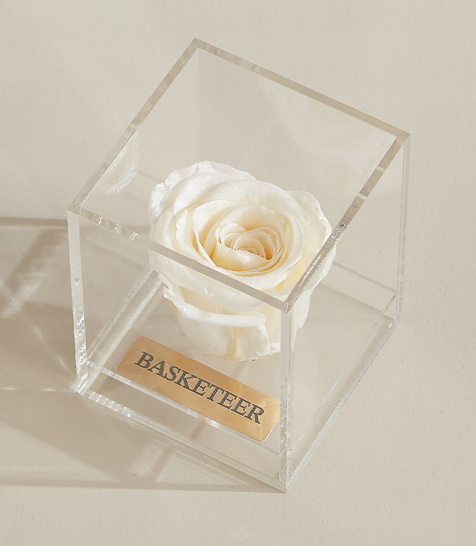 Creamy ivory preserved rose in clear acrylic cube with engraved plaque, luxury Valentine's gift