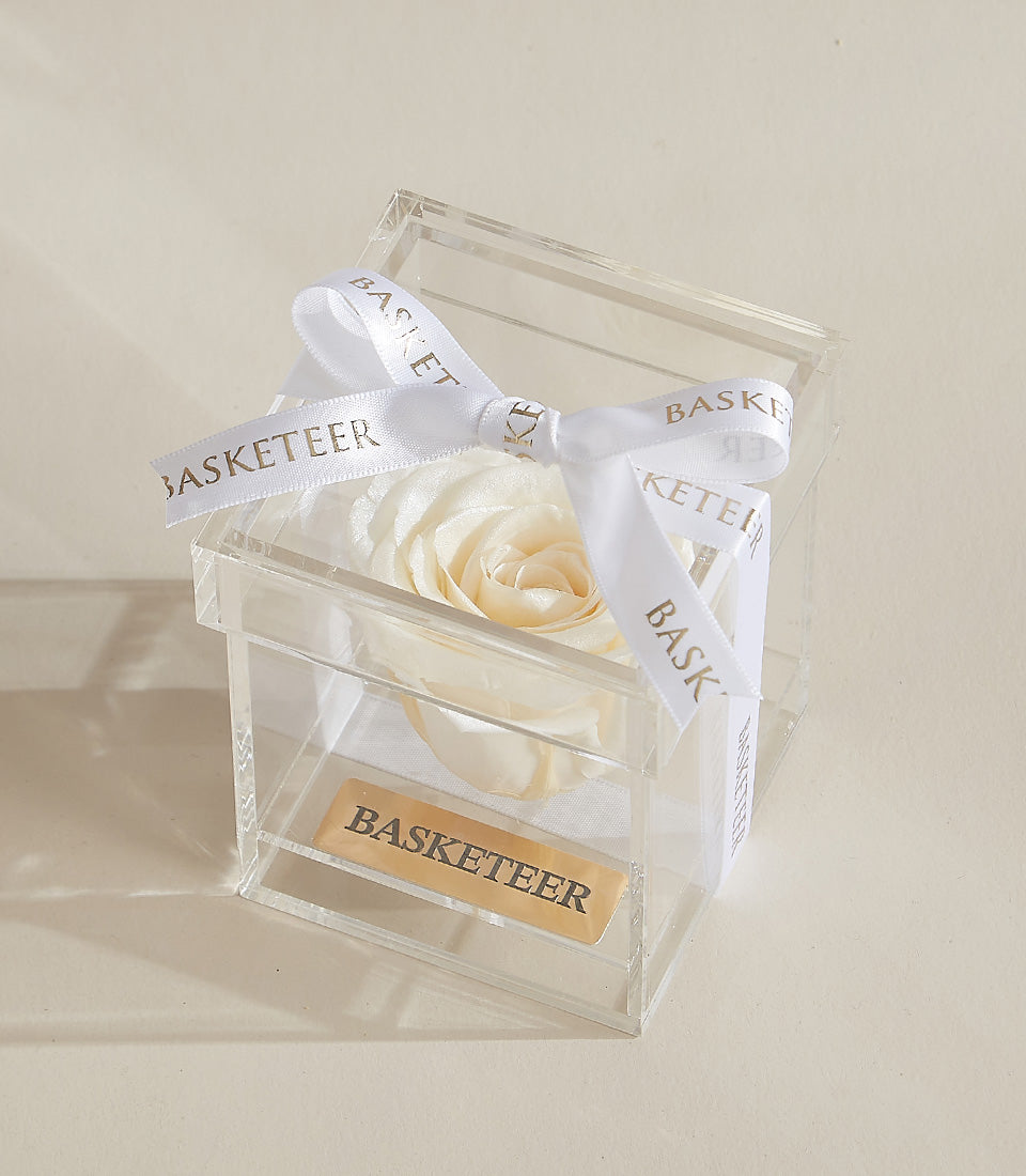 Preserved white rose in clear acrylic luxury box with gold-ribboned Valentine's gift presentation