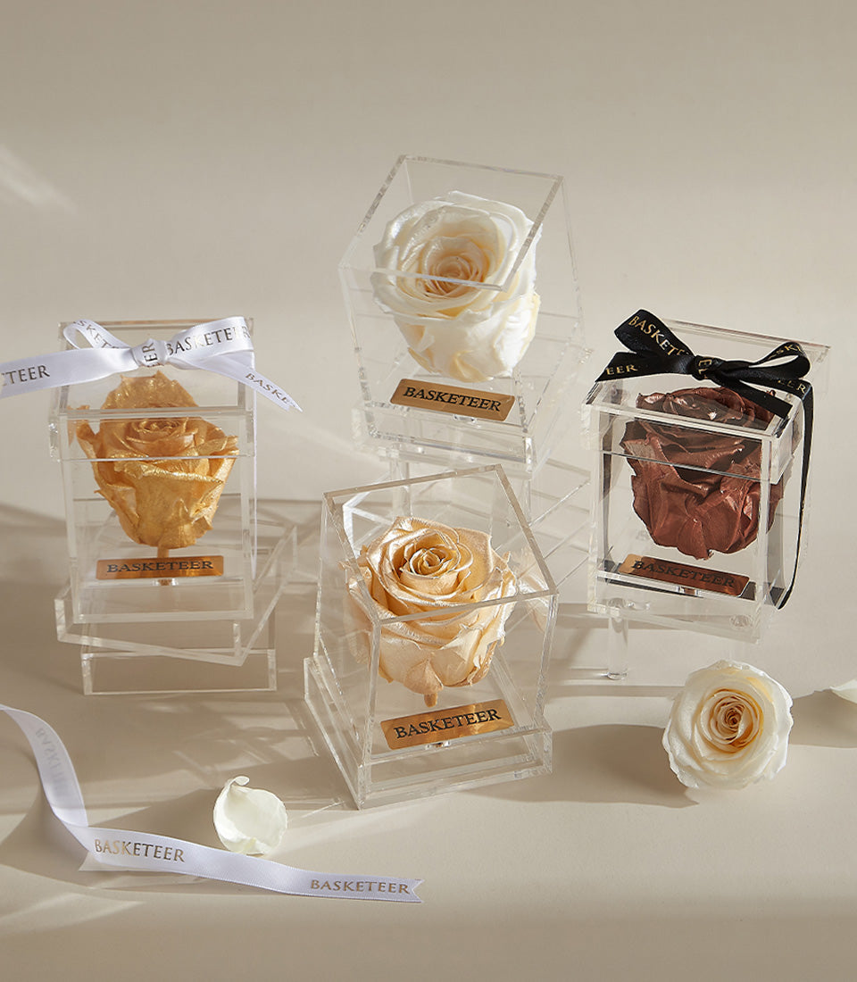 Preserved rose gift box set in cream, gold, and bronze with acrylic encasement and ribbon detail for Valentine's Day