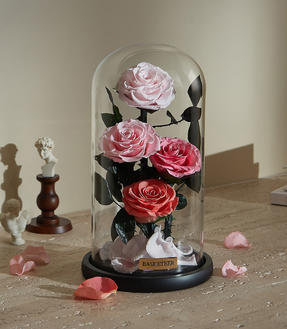 Preserved pink and coral roses under glass dome on black base with scattered petals