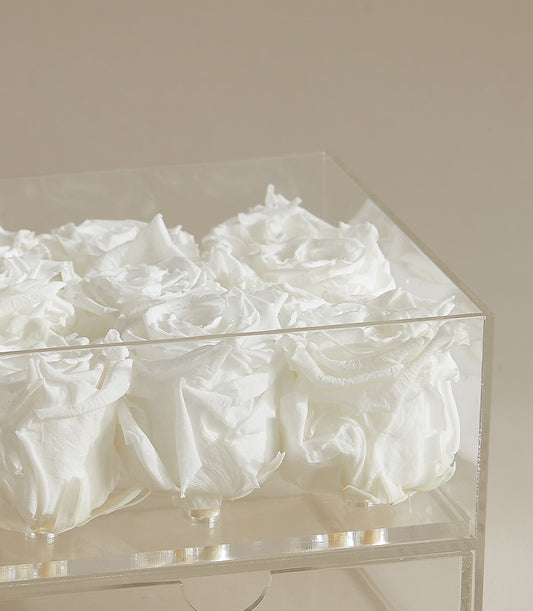 Luxury white preserved roses in clear acrylic box, nine blooms arranged for gifting