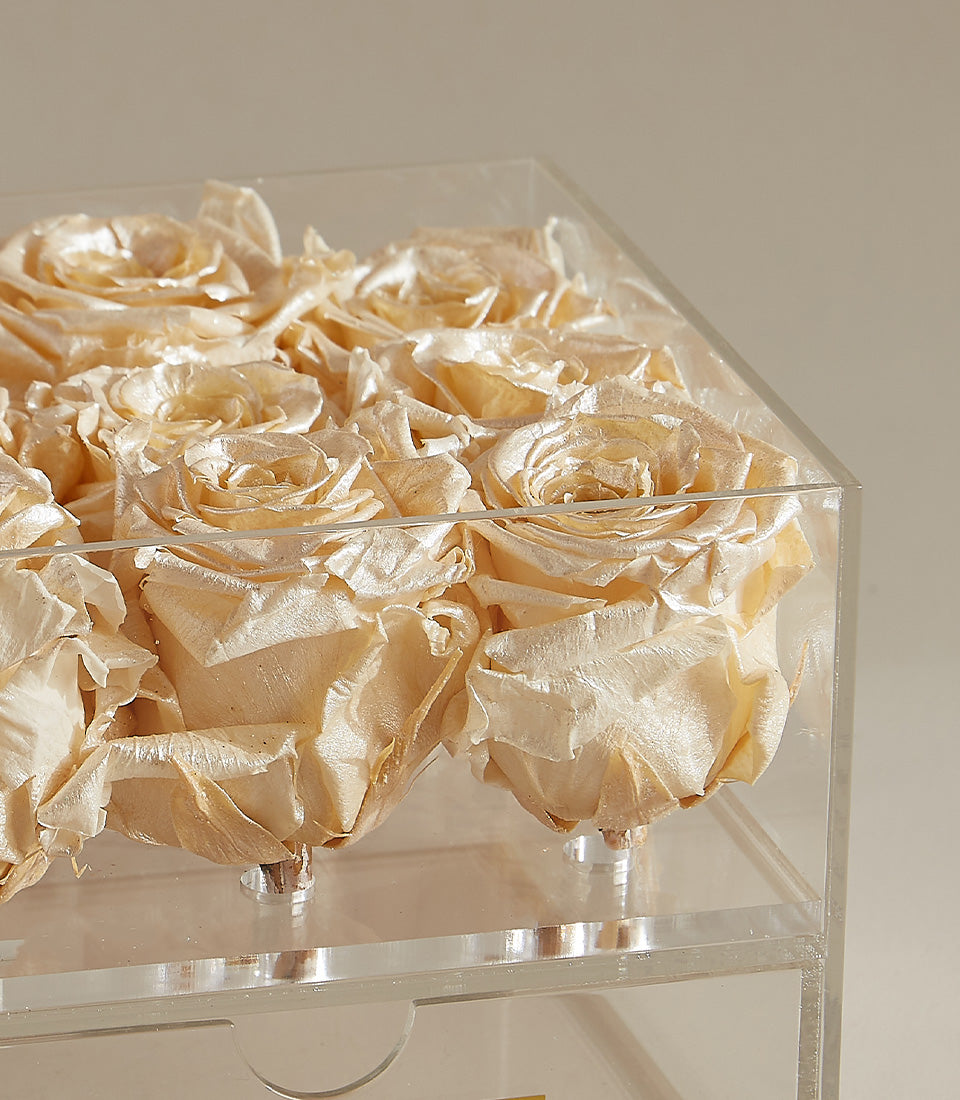 Metalized champagne preserved roses in clear acrylic luxury box