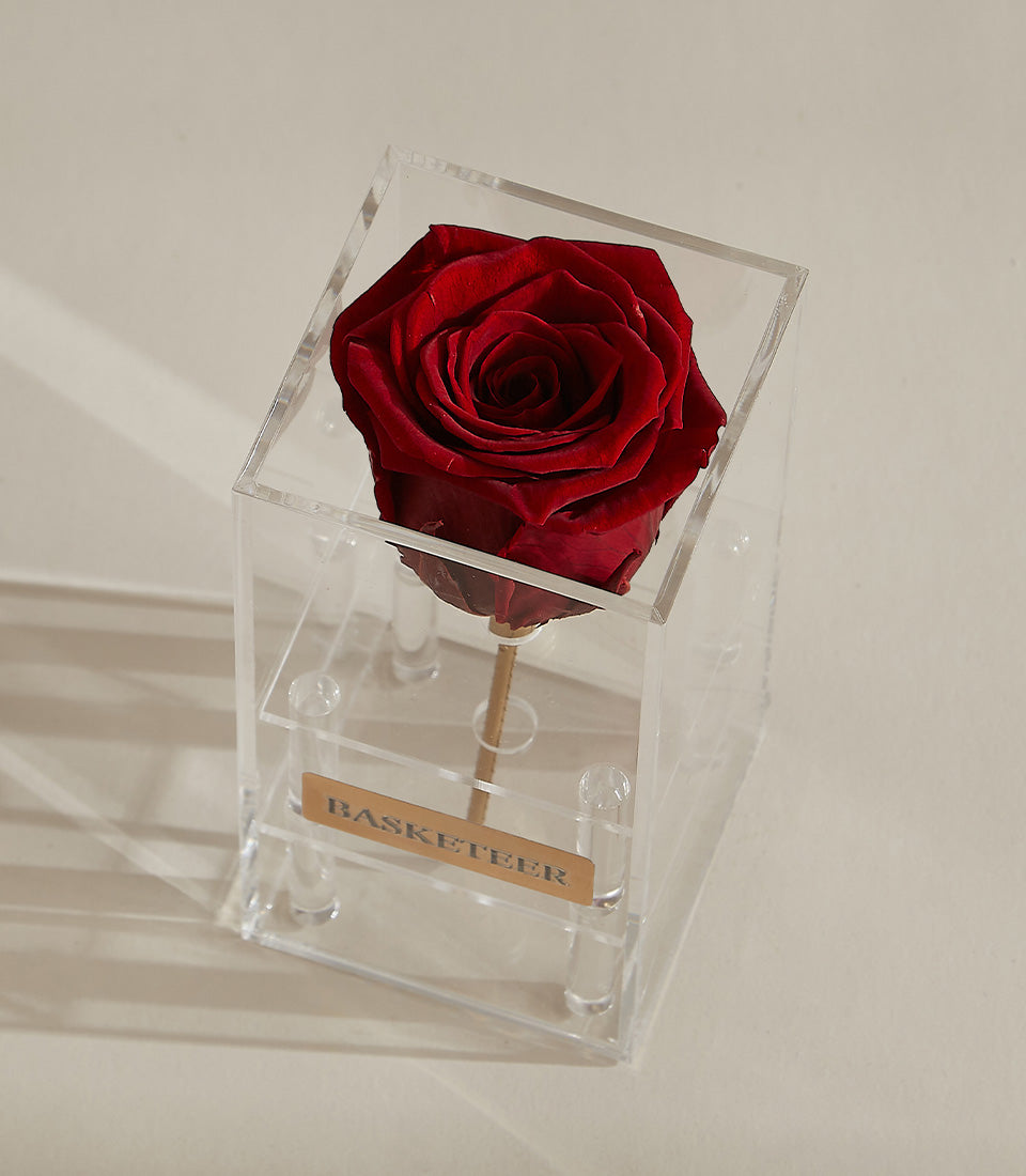 Deep red preserved rose in clear acrylic display case, luxury Valentine flower gift