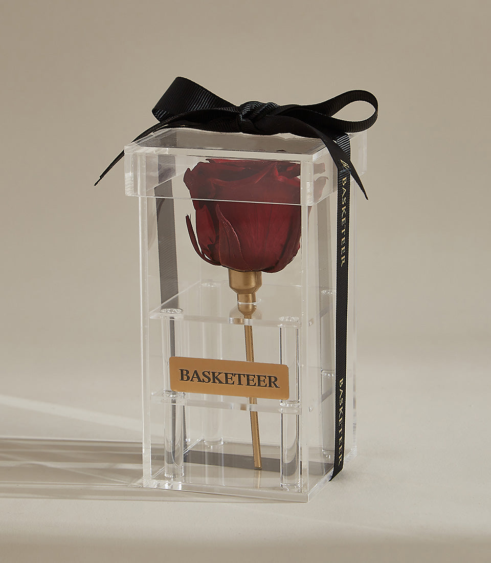 Deep red preserved rose in clear acrylic box with golden stem holder and black ribbon bow