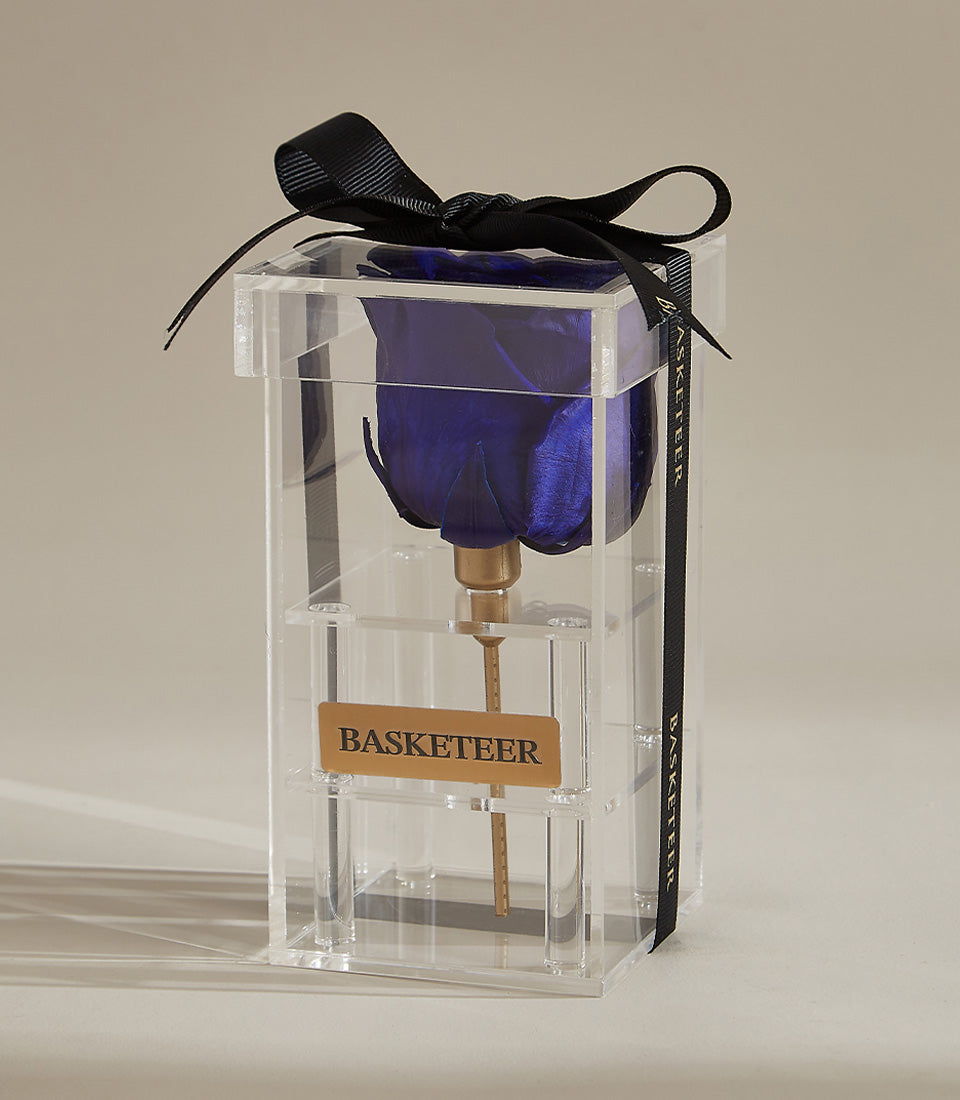 Deep blue preserved rose in clear acrylic box with gold stem and black ribbon bow
