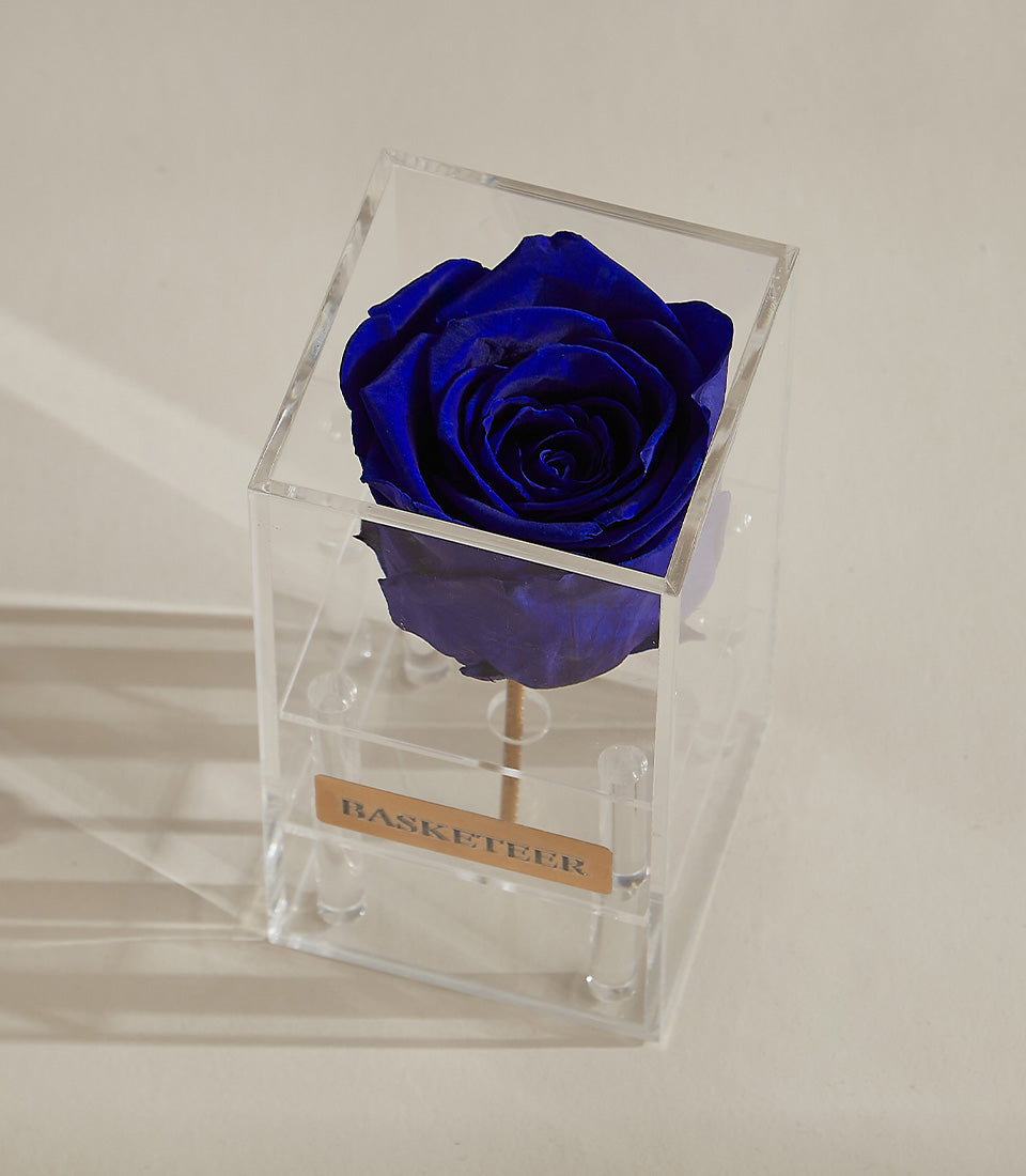Vibrant blue preserved rose in clear acrylic luxury gift box