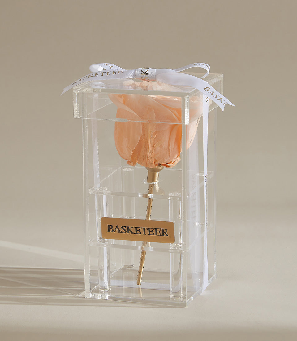 Preserved peach rose in clear acrylic gift box with gold-trimmed ribbon and plaque
