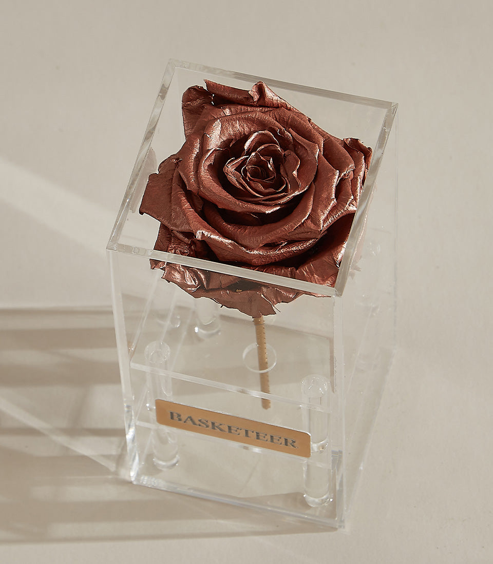 Metallic copper preserved rose in clear acrylic box with cylindrical feet