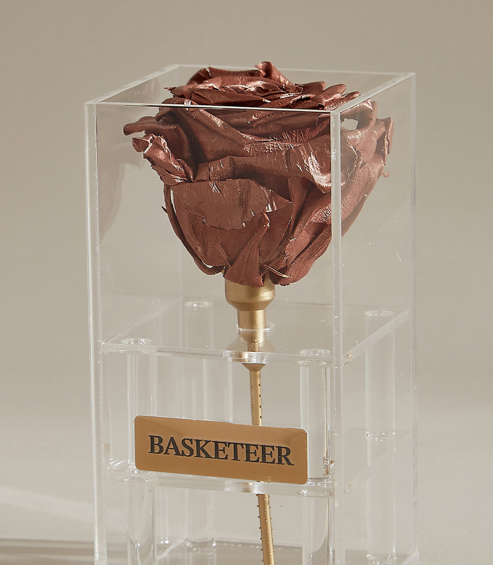 Preserved rose gold rose in clear acrylic box with golden stem and embossed plaque