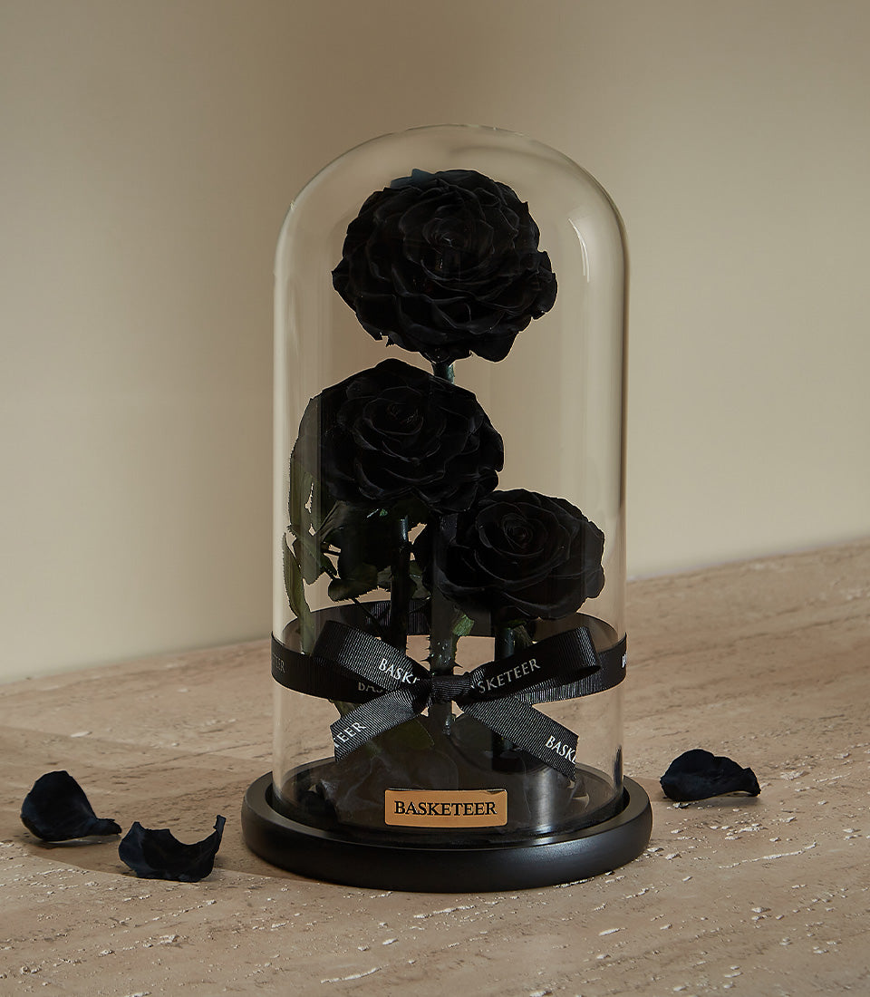 Preserved black rose in glass dome with black base, Valentine's Day gift for him