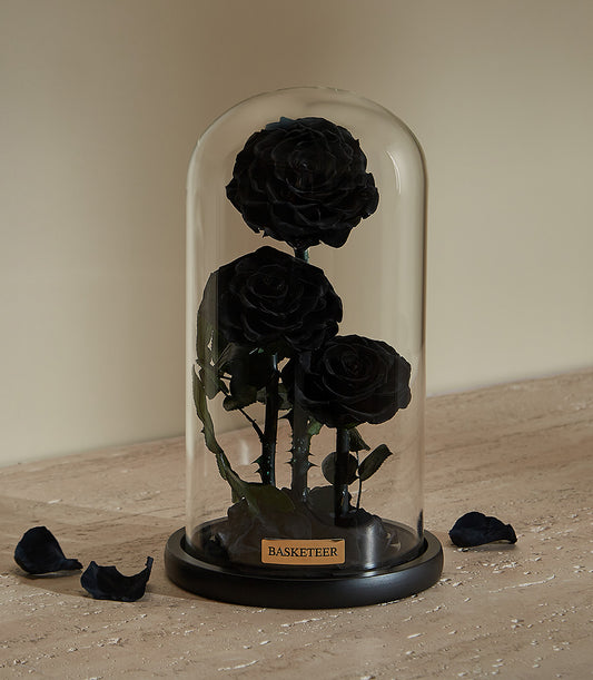 Black preserved rose with glass dome, luxury Valentine gift for him