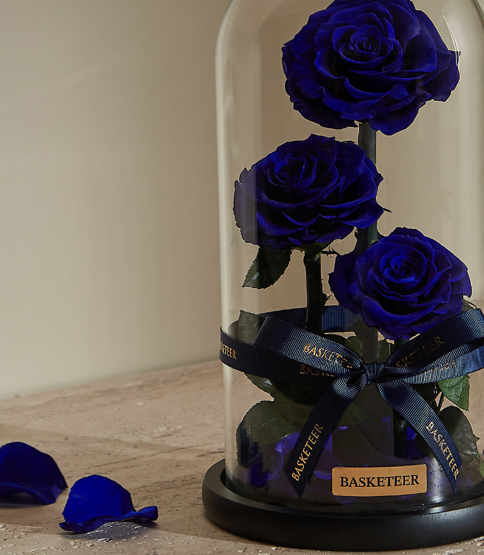 Royal blue preserved roses in glass dome with black base, Valentine's Day gift for him
