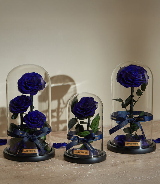 Royal blue preserved roses in glass dome with black base and ribbon bow, Valentine's Day gift for him