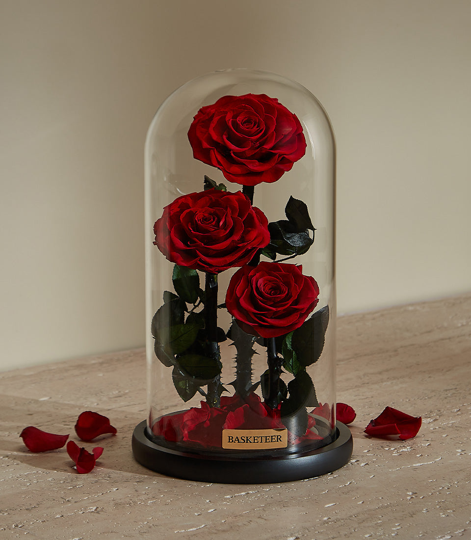 Eternal Love red preserved roses under glass dome with black base, luxury Valentine's gift for her