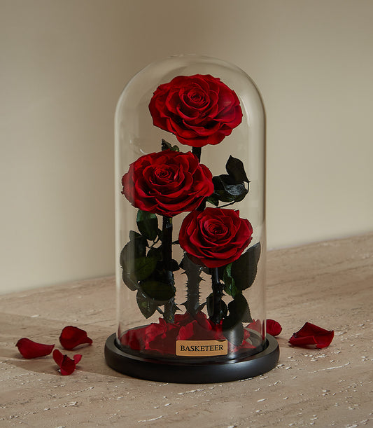 Eternal Love red preserved roses under glass dome with black base, luxury Valentine's gift for her
