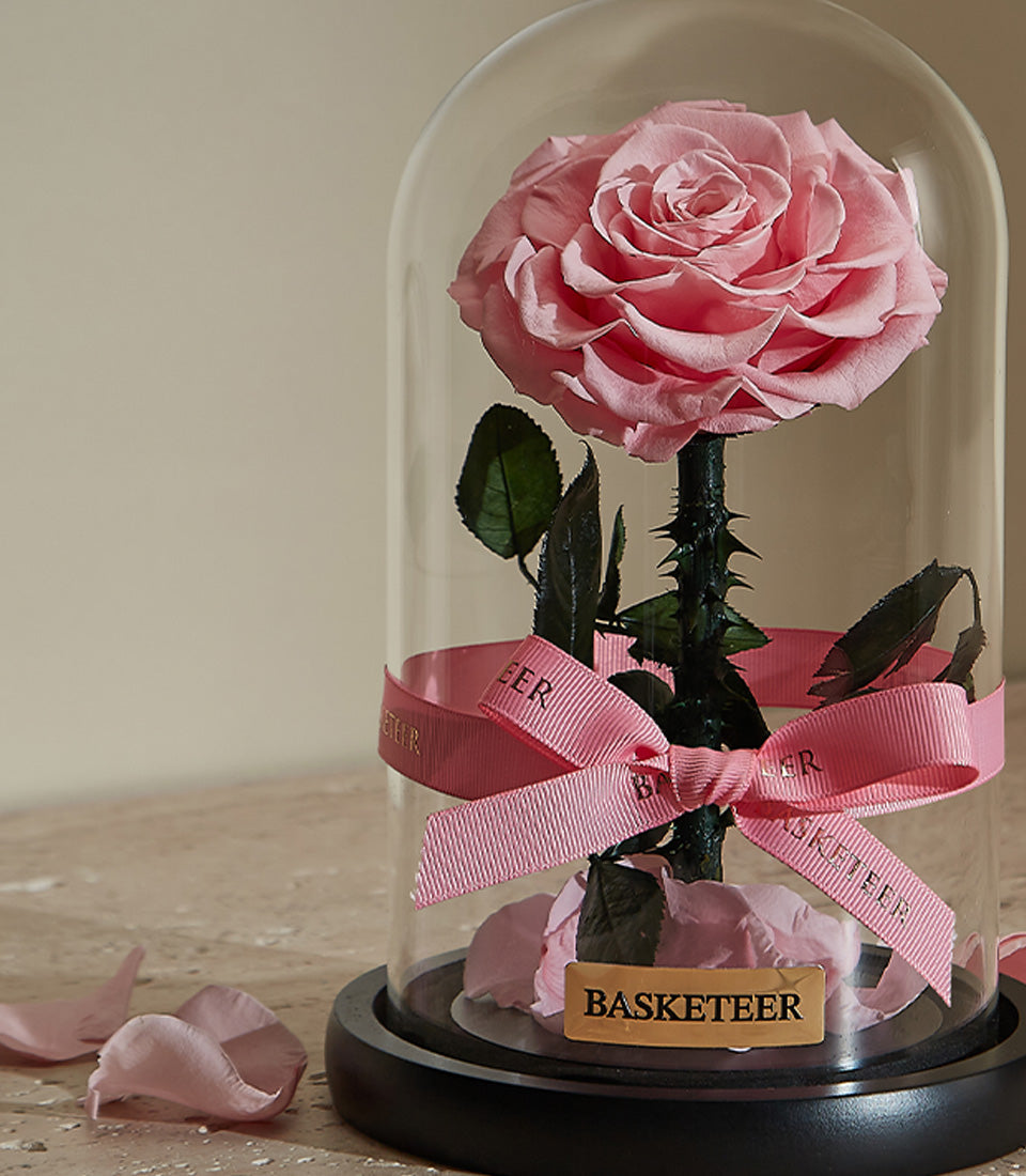 Preserved pink rose under glass dome with pink ribbon bow, romantic Valentine's Day gift for her