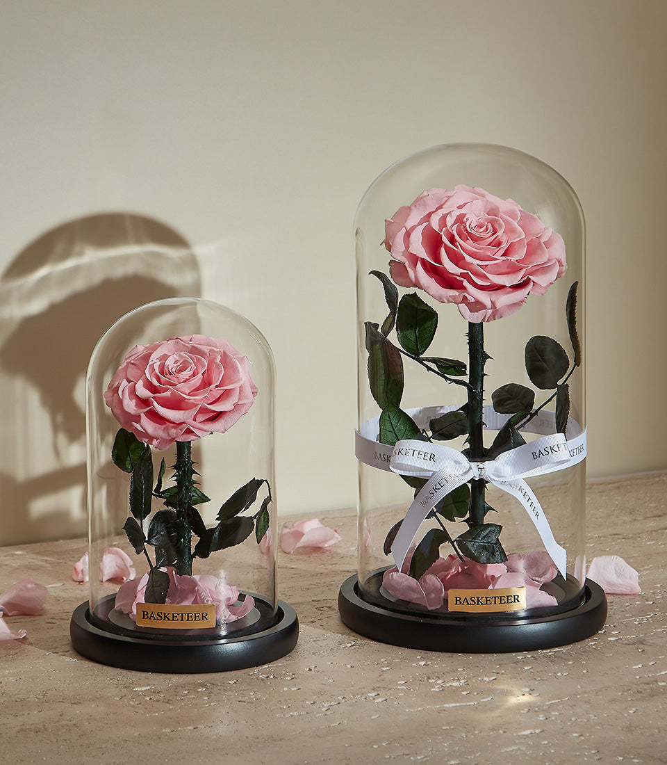 Preserved pink rose in glass dome with black base, Valentine's Day gift for her