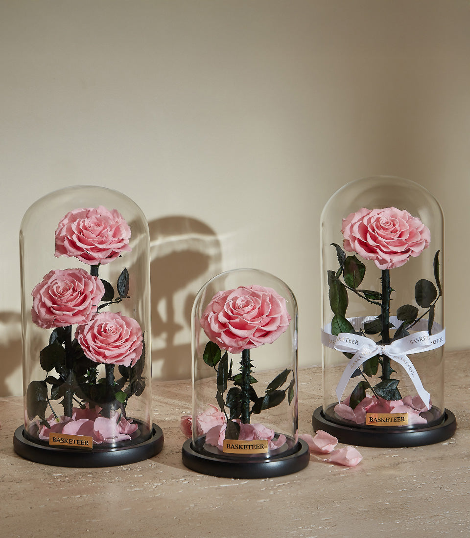 Preserved pink roses in glass domes with green stems, romantic Valentine's gift for her