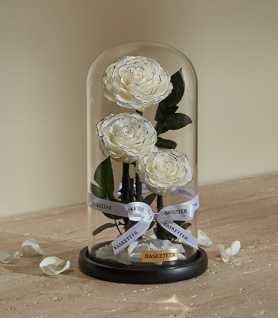 White preserved roses in glass dome with black base, Valentine's Day gift for her