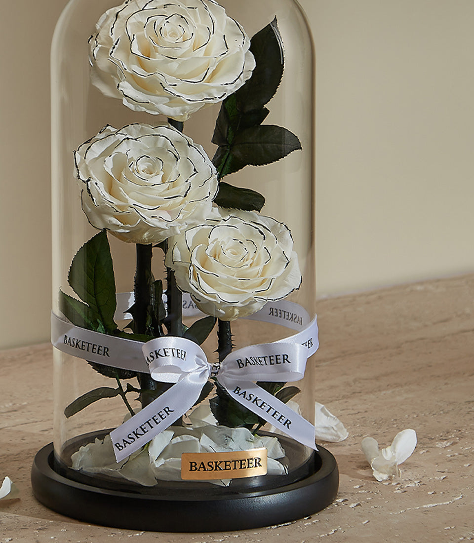 Everlasting white preserved roses with black petal details in glass dome, Valentine's Day gift for her