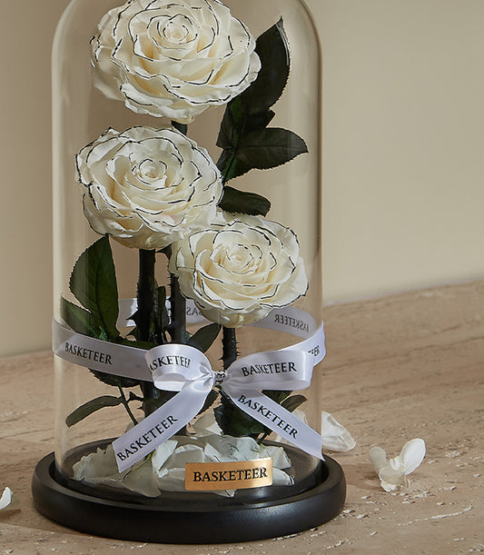 Everlasting white preserved roses with black petal details in glass dome, Valentine's Day gift for her