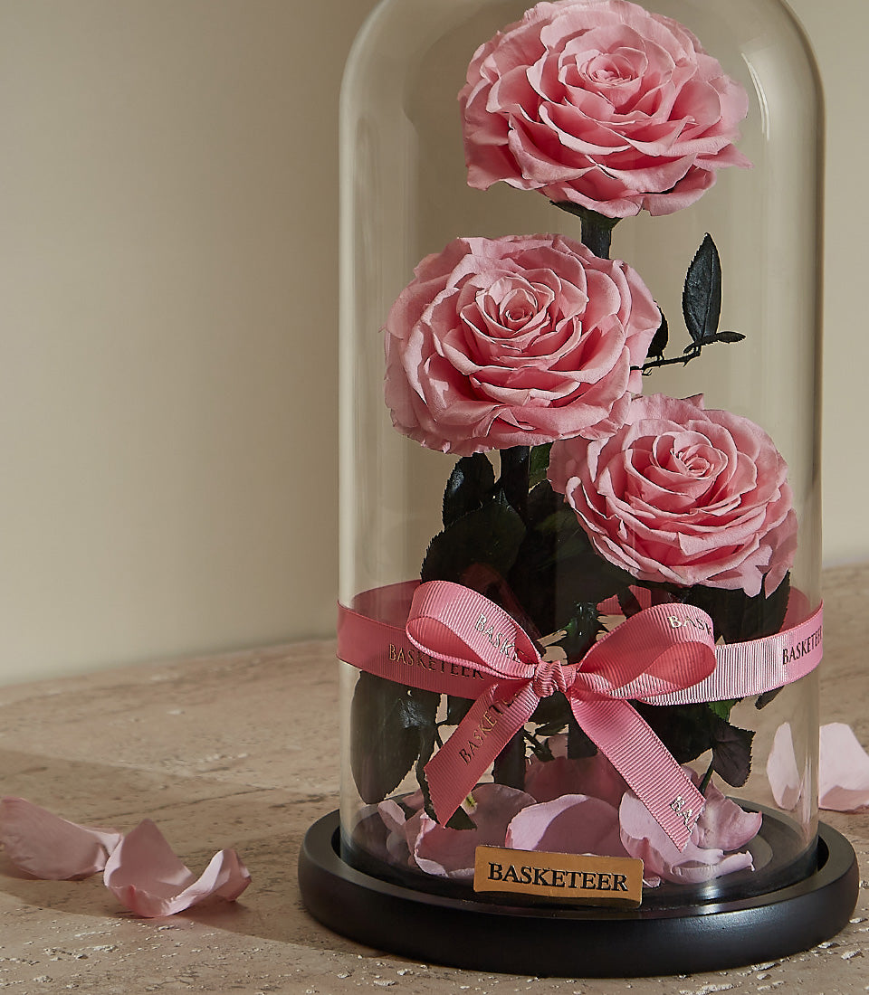 Preserved pink roses in glass dome with black base and pink ribbon, Valentine's gift for her