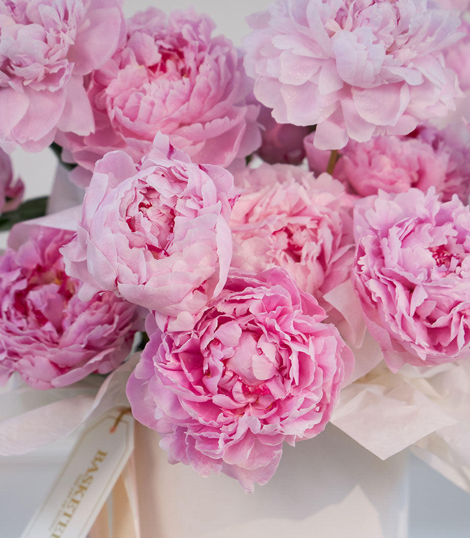 # Pink peonies in full bloom arranged in a white vase with layered petals and lush, romantic garden-style appearance.