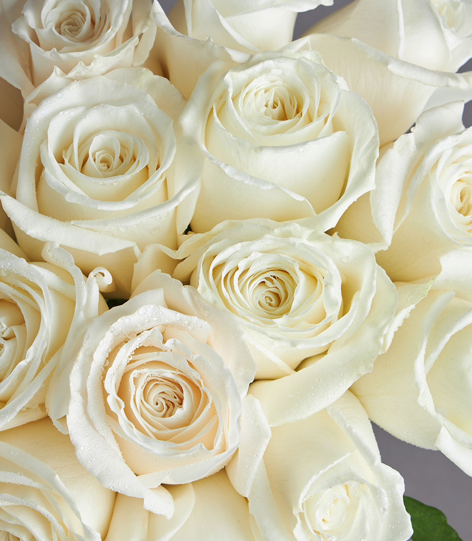 Spring Harmony Vase Arrangement