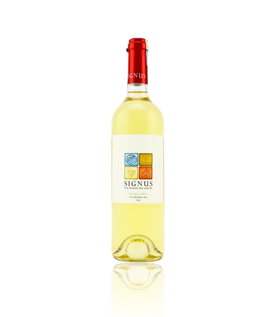 Premium Sauvignon Blanc white wine gift box with Chilean provenance and artisan label design