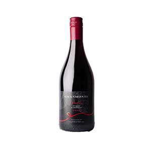 Premium red wine gift with classic dark glass bottle and red foil capsule for Christmas celebrations