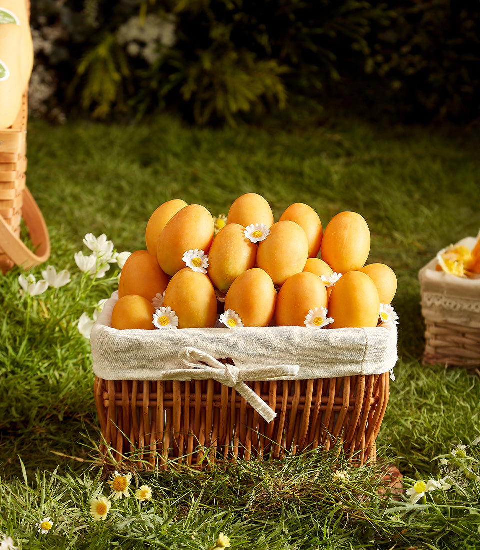 Premium Mayongchid Thai mango gift basket with fresh tropical fruit and white daisies in wicker