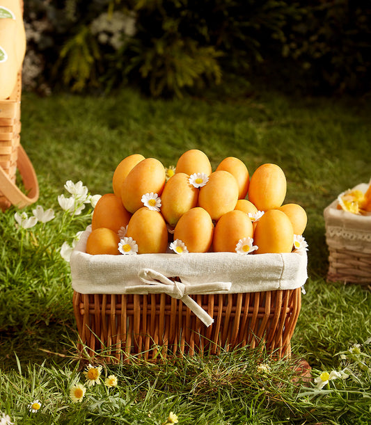Premium Mayongchid Thai mango gift basket with fresh tropical fruit and white daisies in wicker