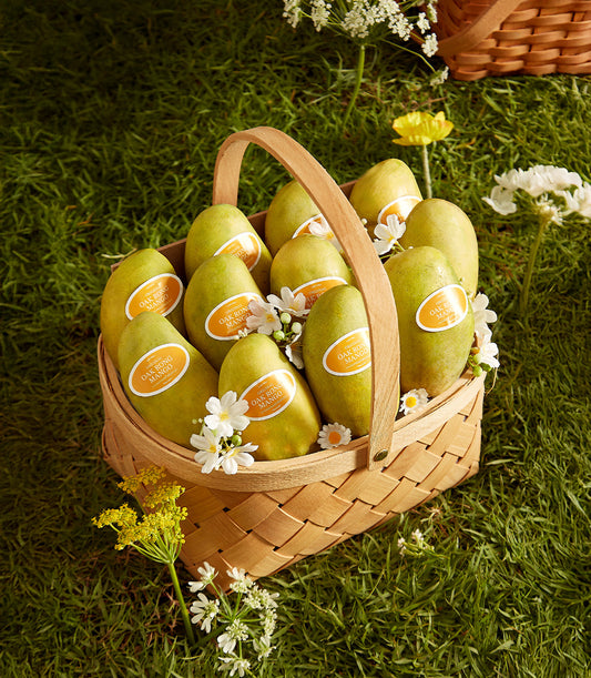 Woven wooden basket filled with fresh Ok-Rong mangoes and white wildflowers, Thai tropical fruit gift hamper