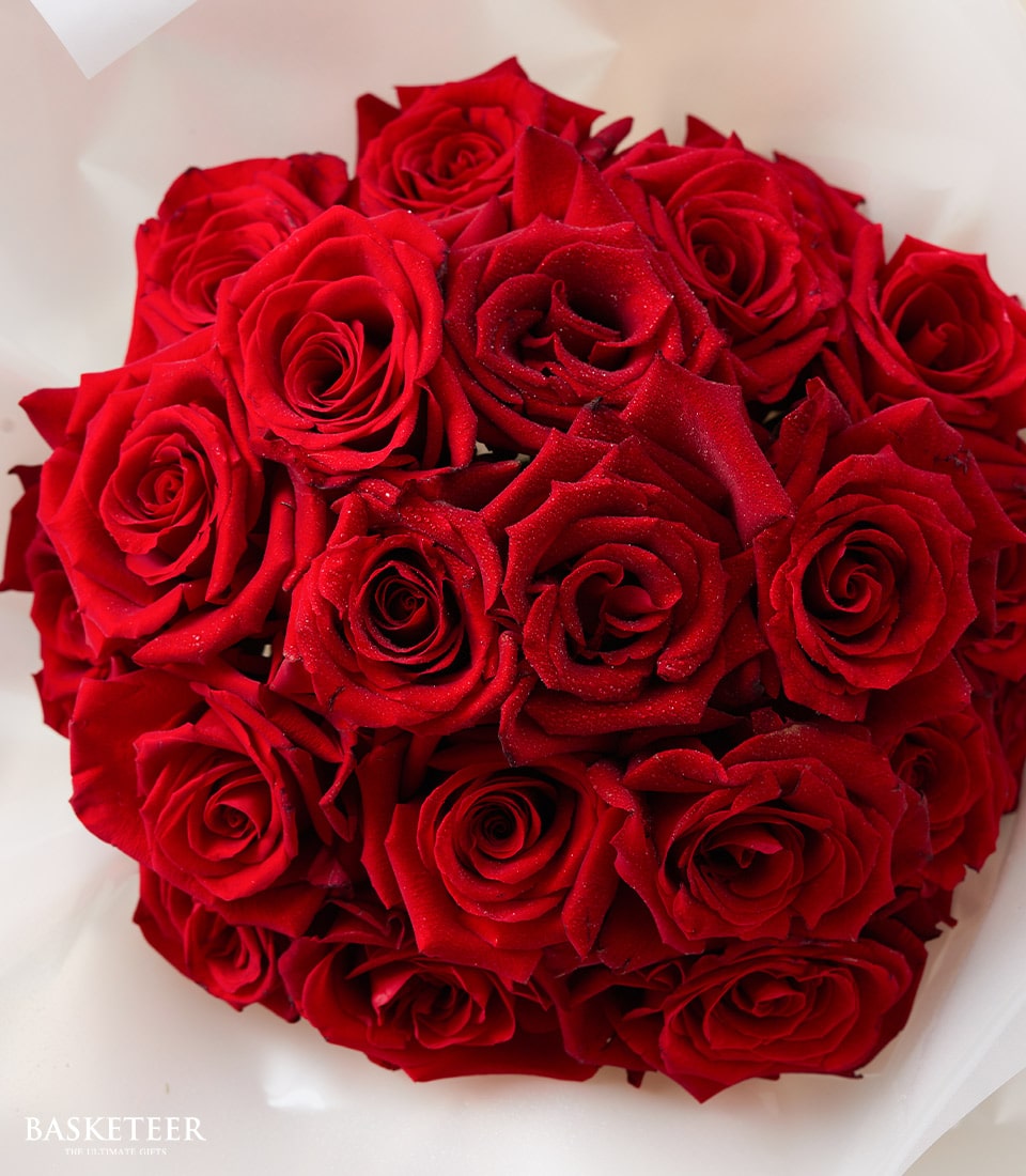 Luxurious scarlet rose bouquet with Ecuador-sourced blooms, fresh water droplets, wrapped in white paper for anniversary