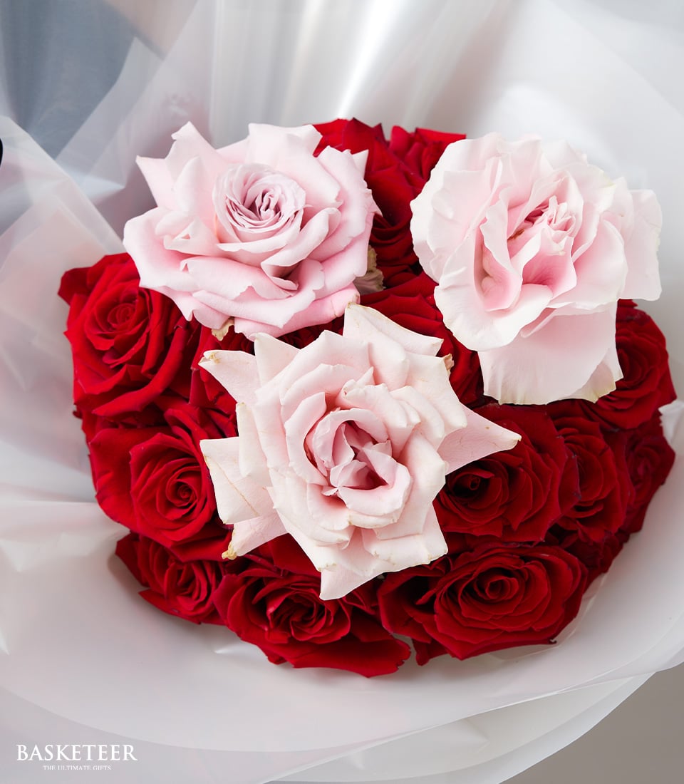 Luxe red and pink rose bouquet with Ecuador-sourced blooms, wrapped in elegant white tissue for anniversary gifting