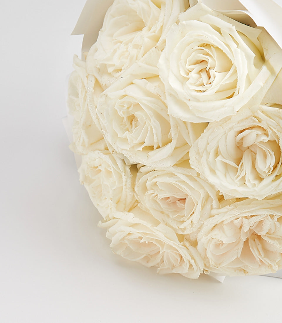 Creamy white rose bouquet with ruffled petals and subtle pink centers, wrapped in white paper for Valentine's Day