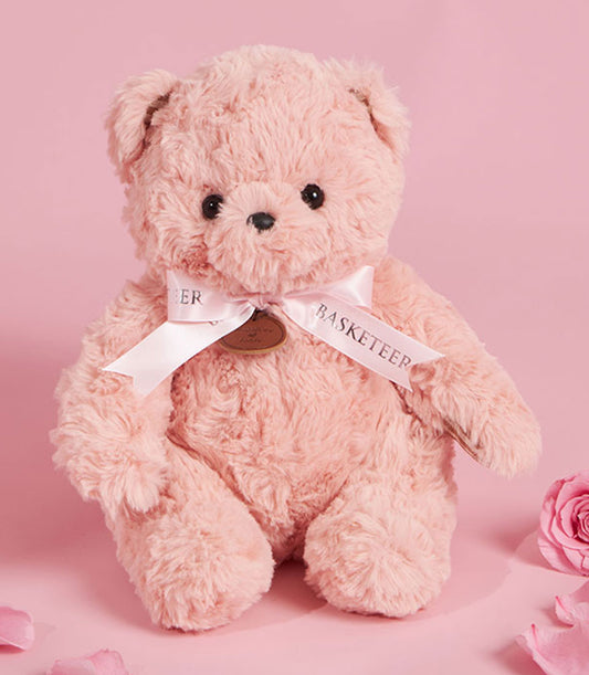 Soft blush pink plush teddy bear with satin ribbon bow, perfect Valentine's Day gift hamper cuddle companion