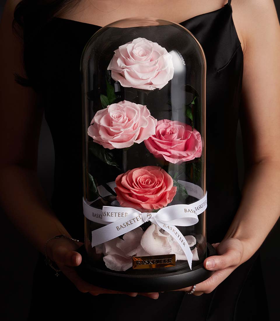 Preserved pink roses in glass dome with white petals and black base, luxury anniversary gift