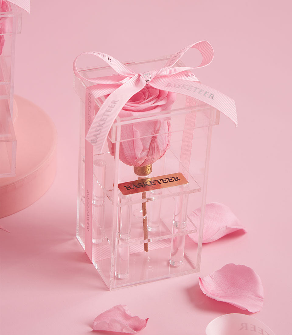 Tall pink preserved rose in clear acrylic VIP box with ribbon, luxury Valentine gift