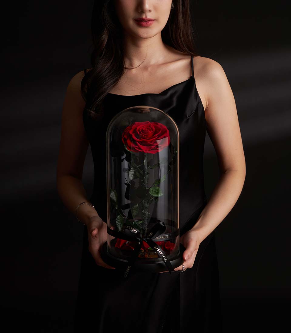 Single preserved red rose under glass dome with black ribbon, luxury Valentine gift
