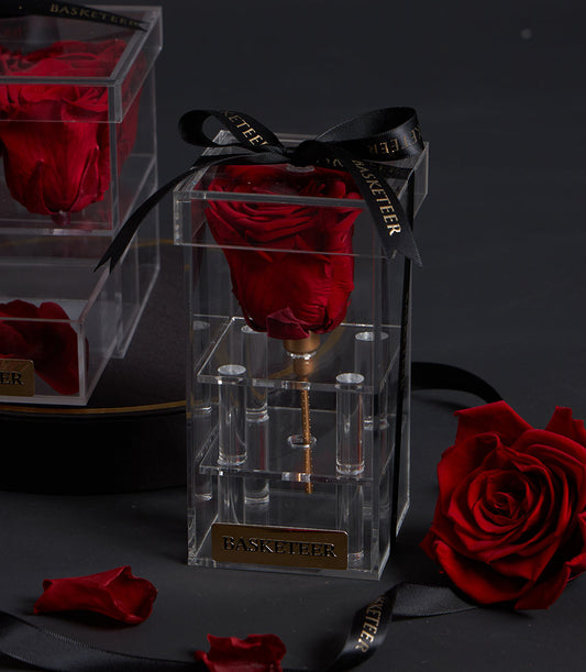 Eternal red preserved rose in tall acrylic VIP box with gold stem and black ribbon, Valentine's luxury gift