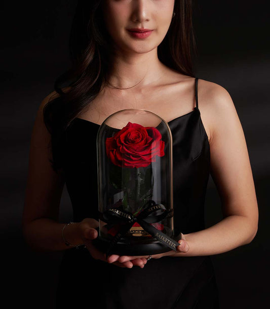 Eternal red preserved rose under glass dome, luxury Valentine's gift with black ribbon detail